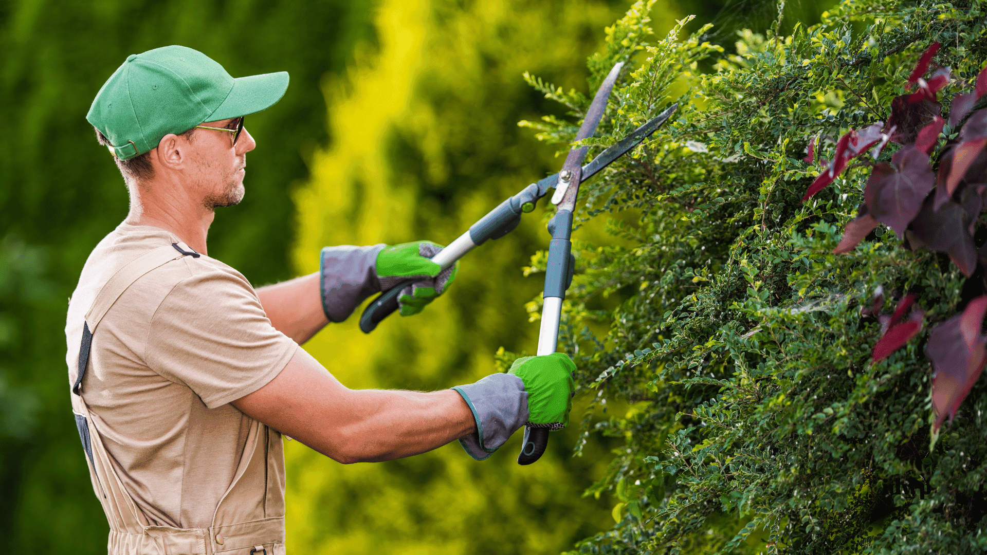 Gardeners / Mali service
